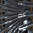 frond_repetition