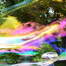 bubble_making_at_central_park