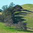 lower_reaches_of_amador_county
