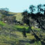 rolling_through_the_sierra_foothills